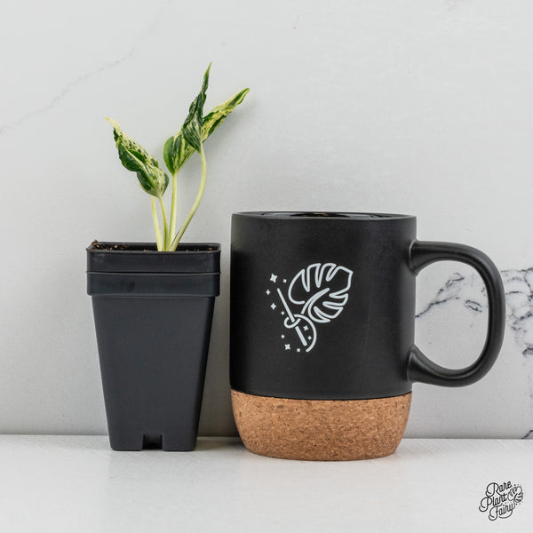 Epipremnum Teruno 'Love Song' (wk52-E)