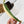 Epipremnum Amplissimum Albo Variegated No. 1 (wk33-I)