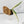 Epipremnum Amplissimum Albo Variegated No. 1 (wk33-I)