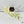 Epipremnum sp. Philippines Variegated (wk35-H)