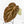 Anthurium DocBlock F2 x Carlablackiae by DocBlock® (wk29-G) *Blister Variegated*