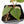 Fallopia multiflora pink/albo variegated (wk34-L65)