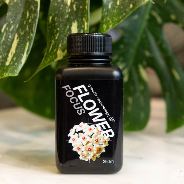 Flower Focus Growth Technology GT