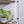 Grove™ LED Grow Light