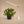 Versa™ Tabletop Grow Light
