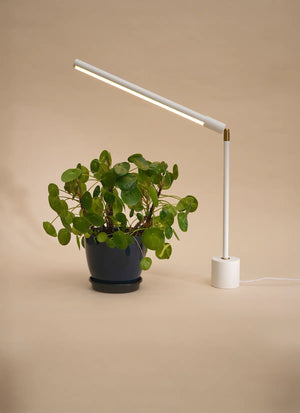 Versa™ Tabletop Grow Light