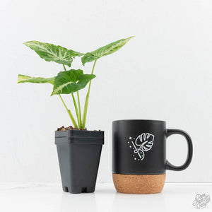 Syngonium 'Scrambled Eggs' *Grower's Choice*