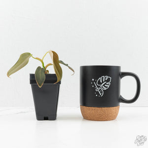 Philodendron gigas *Grower's Choice*