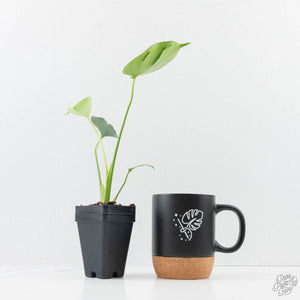 Monstera deliciosa ‘Tattoo’ *Grower's Choice*