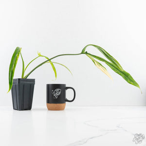 Philodendron holtonianum variegated *Grower's Choice*