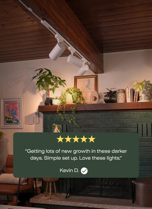 Highland™ LED Track Light System