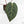 Anthurium Home, Sweet Home '32' x Dark & Handsome '9' by DocBlock® (wk18-L)