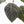 Anthurium Home, Sweet Home '32' x Dark & Handsome '9' by DocBlock® (wk31-A)