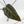 Anthurium Home, Sweet Home '32' x Dark & Handsome '9' by DocBlock (wk42-L90)