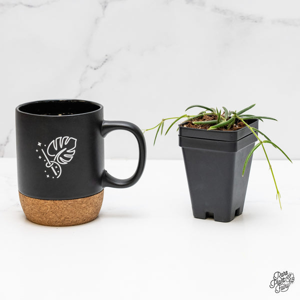 Hoya linearis *Grower's Choice*