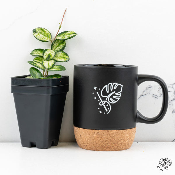 Hoya 'Mathilde' Inner Variegated (wk47-D)