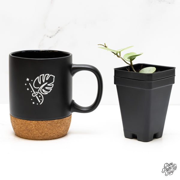 Hoya Mathilde Silver 'Grey Fairy' (wk5-B)