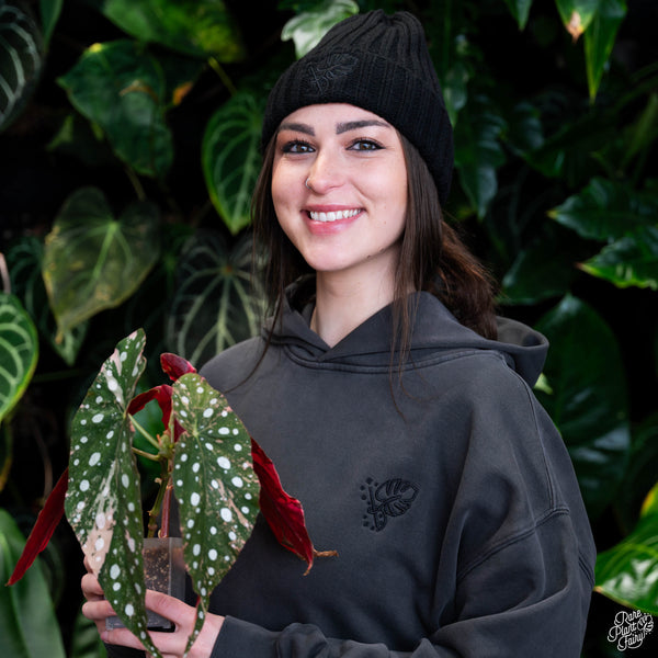 Rare Plant Fairy ® Sustainable Hoodie In Faded Black