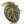 Anthurium 'Michelle' by DocBlock®  *Grower's Choice*