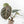 Anthurium 'Michelle' by DocBlock®  *Grower's Choice*