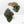 Anthurium 'Luxurians' x ('Zara' x 'Michelle') by DocBlock® (wk18-E)