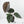 Anthurium 'Luxurians' x ('Zara' x 'Michelle') by DocBlock® (wk22-D)