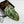 Anthurium 'Michelle' by DocBlock - Extra Silver (wk44-L419)