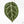 Anthurium Michelle '10' x Home, Sweet Home '32' by DocBlock® (wk20-N)