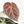 Anthurium Michelle '10' x Home, Sweet Home '32' by DocBlock® (wk20-N)