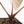 Anthurium Michelle '10' x Home, Sweet Home '32' by DocBlock® (wk22-G)