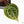 Anthurium Michelle '10' x Home, Sweet Home '32' by DocBlock® (wk24-E)