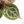 Anthurium Michelle '10' x Home, Sweet Home '32' by DocBlock® (wk24-E)