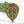 Anthurium Michelle '10' x Home, Sweet Home '32' by DocBlock® (wk25-I) *Purple Veins*