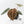 Anthurium Michelle '10' x Home, Sweet Home '32' by DocBlock® (wk27-A)