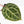 Anthurium Michelle '10' x Home, Sweet Home '32' by DocBlock® (wk31-G)