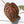 Anthurium Michelle '10' x Home, Sweet Home '32' by DocBlock® (wk31-G)