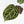 Anthurium Michelle '10' x Home, Sweet Home '32' by DocBlock® (wk31-G)