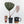 Anthurium Michelle '10' x Home, Sweet Home '32' by DocBlock® (wk37-L139)