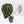 Anthurium Michelle '10' x Home, Sweet Home '32' by DocBlock® (wk37-L139)
