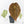 Anthurium Minerva '20' x  Minerva '20' by DocBlock® (wk21-Y)