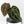 Anthurium Minerva '20' x  Minerva '20' by DocBlock (wk40-L327)
