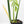 Monstera 'Croatii' (wk23-A)