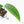 Monstera 'Croatii' (wk29-B)