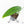 Monstera 'Croatii' (wk29-B)