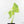 Monstera Deliciosa 'Light Lime' (wk38-U89)
