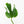 Monstera Deliciosa 'Unniiae' (wk33-U5)