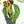 Monstera adansonii albo variegated *Large Form* (wk19-F)