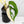 Monstera Adansonii Albo Variegated (Large Form/Indo Form) (wk32-D)