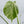 Monstera Deliciosa Albo Variegated (Small Form/Borsigiana) (wk34-D)