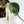 Monstera Deliciosa Albo Variegated (Large Form) (wk36-N)